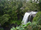 Waterval In Atherton Tablelands